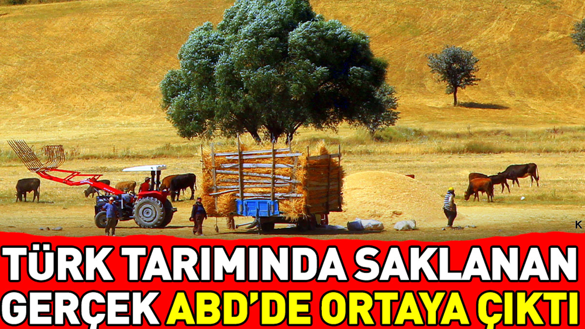 Türk tarımında saklanan gerçek ABD’de ortaya çıktı