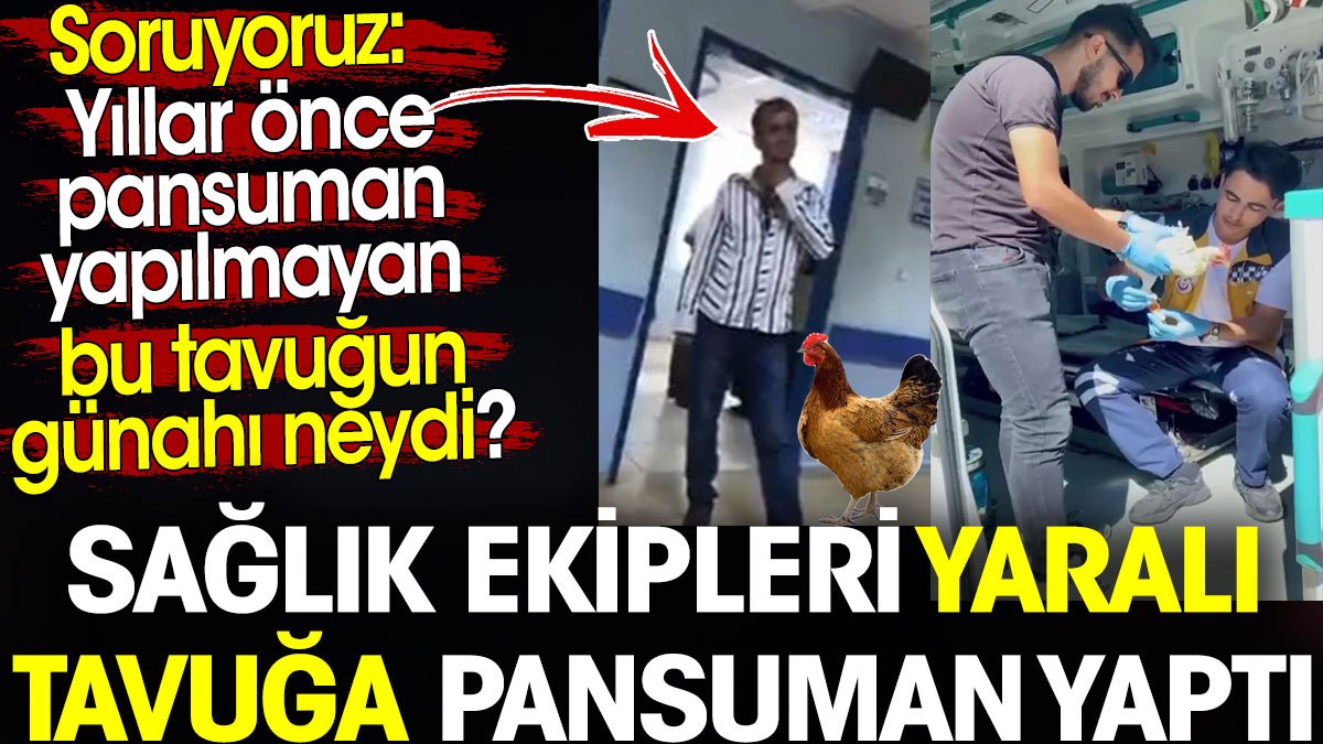 Yaralı tavuğa pansuman yapıldı. Yıllar önce pansuman yapılmayan bu tavuğun günahı neydi?