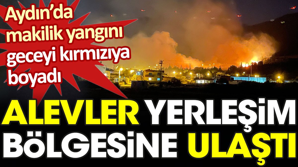 Aydın’da makilik yangını geceyi kızıla boyadı. Alevler yerleşim bölgesine ulaştı