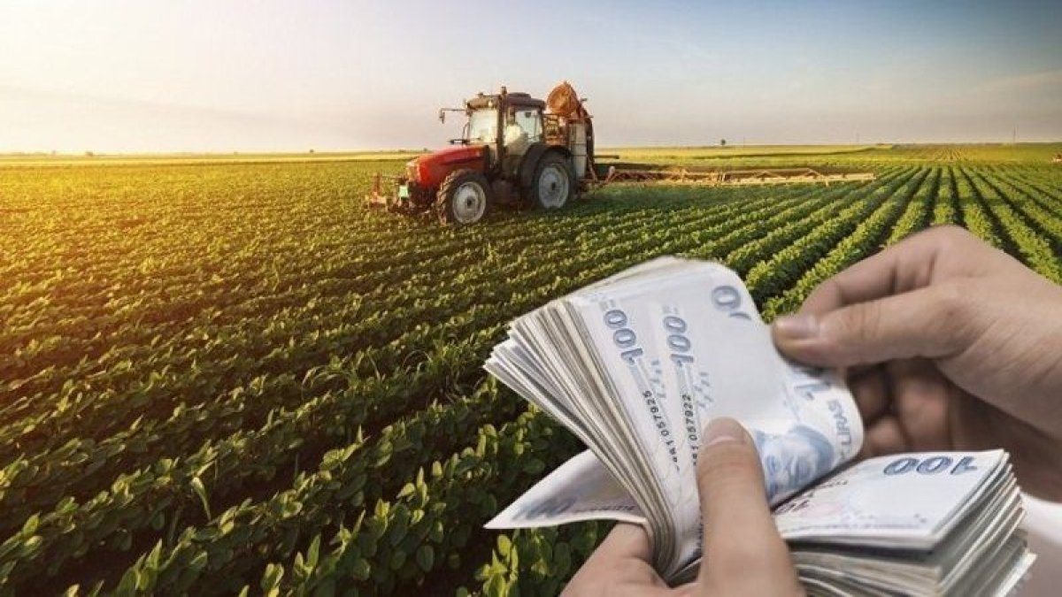 Çiftçilere 26 milyon TL'lik ödeme. Ödemeler başladı