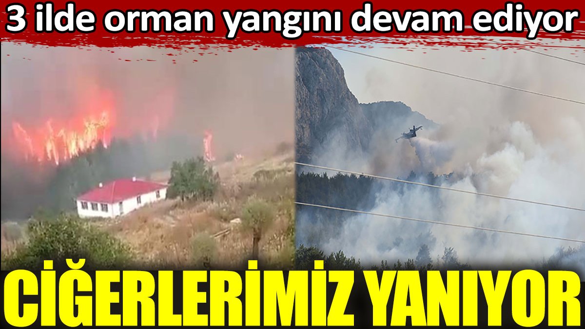 Yine ciğerlerimiz yanıyor. İzmir, Bolu ve Ankara’da orman yangınları devam ediyor