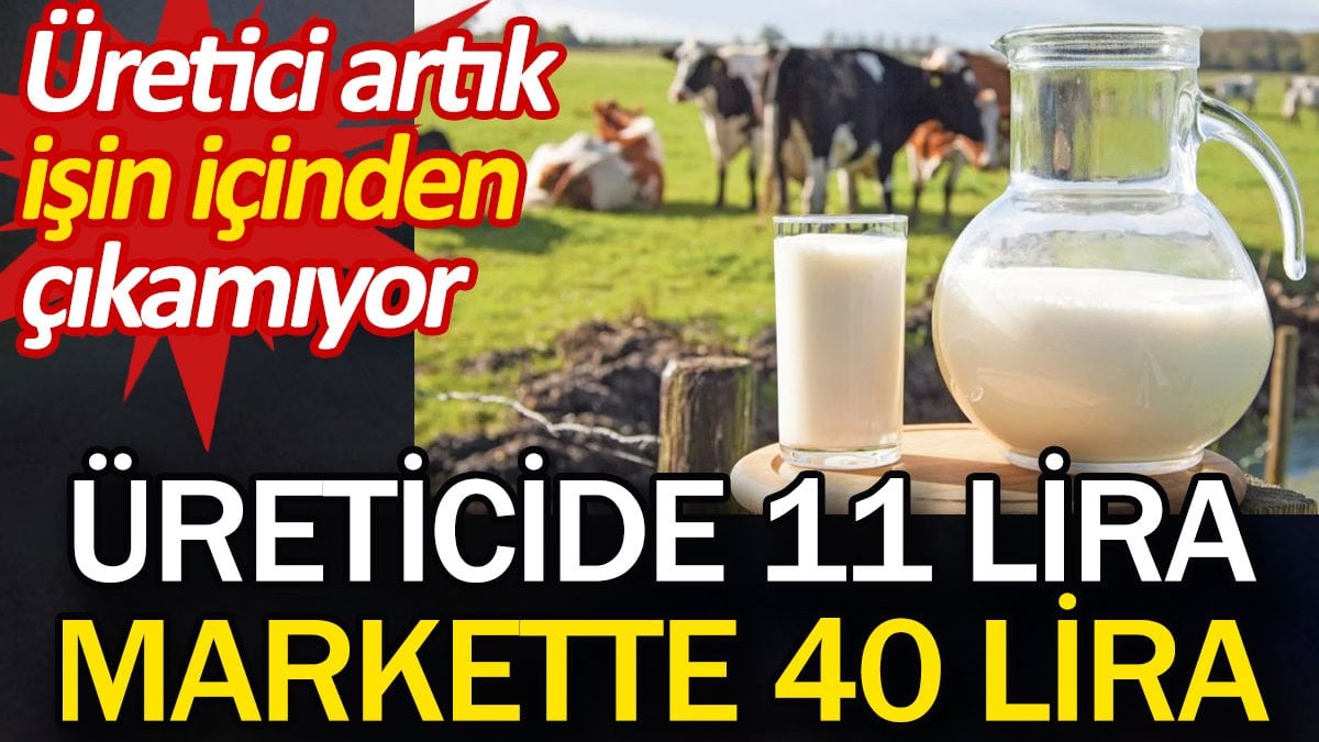 Üreticide 11 lira markette 40 lira. Üretici artık işin içinden çıkamıyor