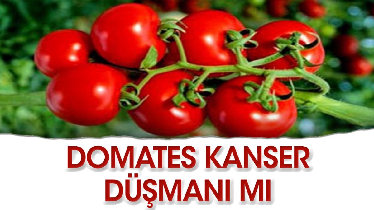 Kansere karşı domates yiyin
