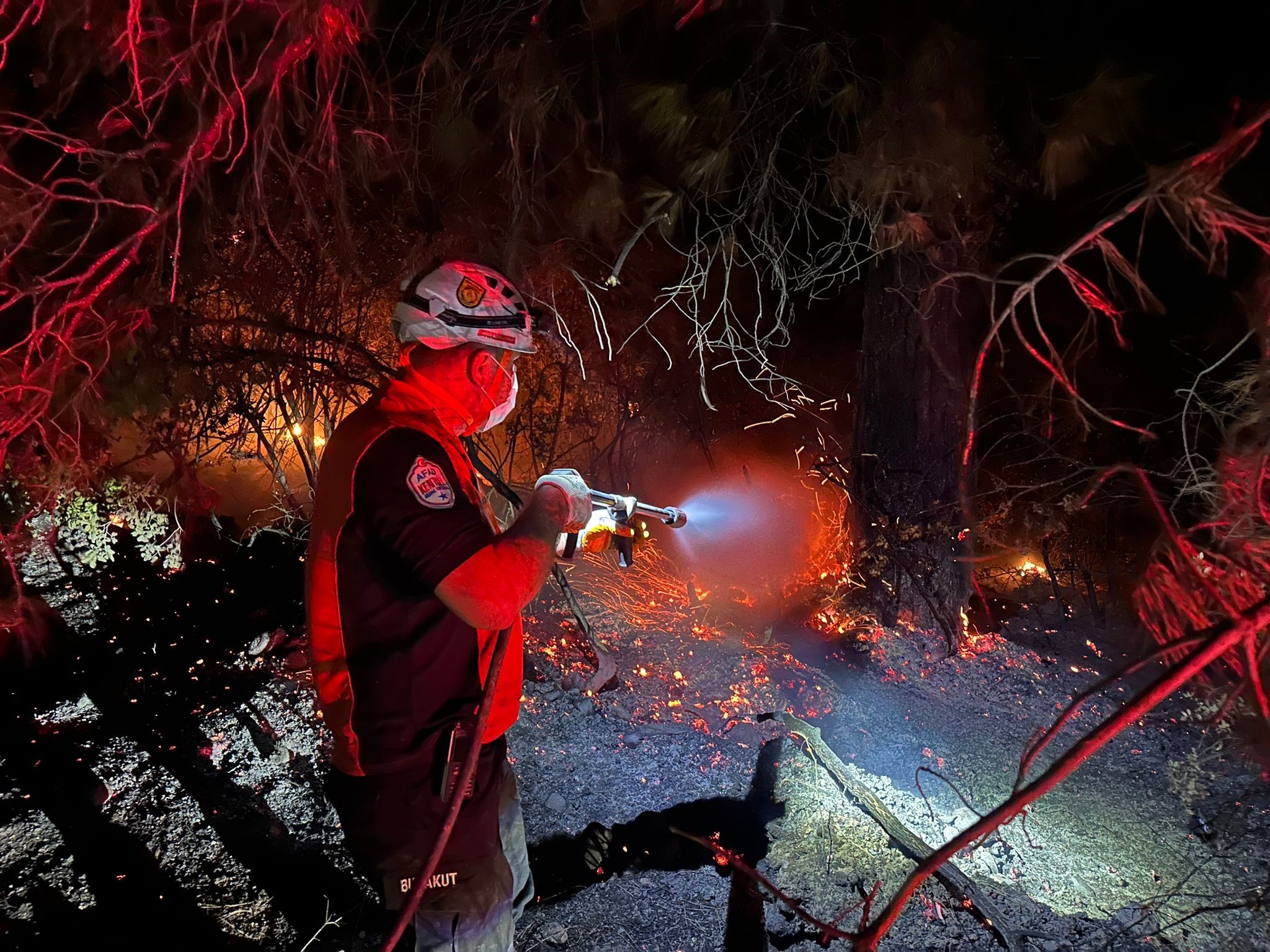 Buca'daki orman yangını kontrol altına alındı