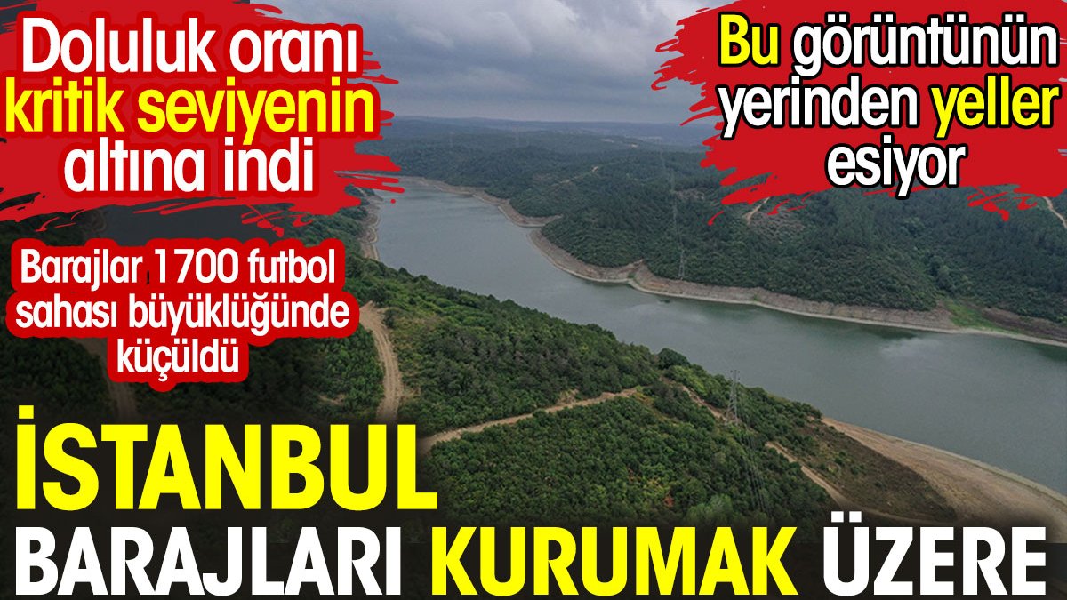 İstanbul Barajları kurumak üzere. Doluluk oranı kritik seviyenin altına düştü