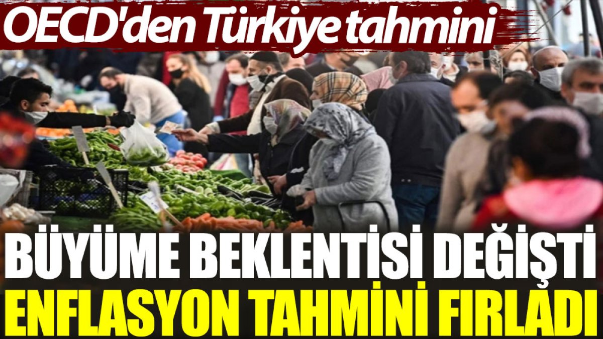 OECD'den Türkiye tahmini: Büyüme beklentisi değişti, enflasyon tahmini fırladı