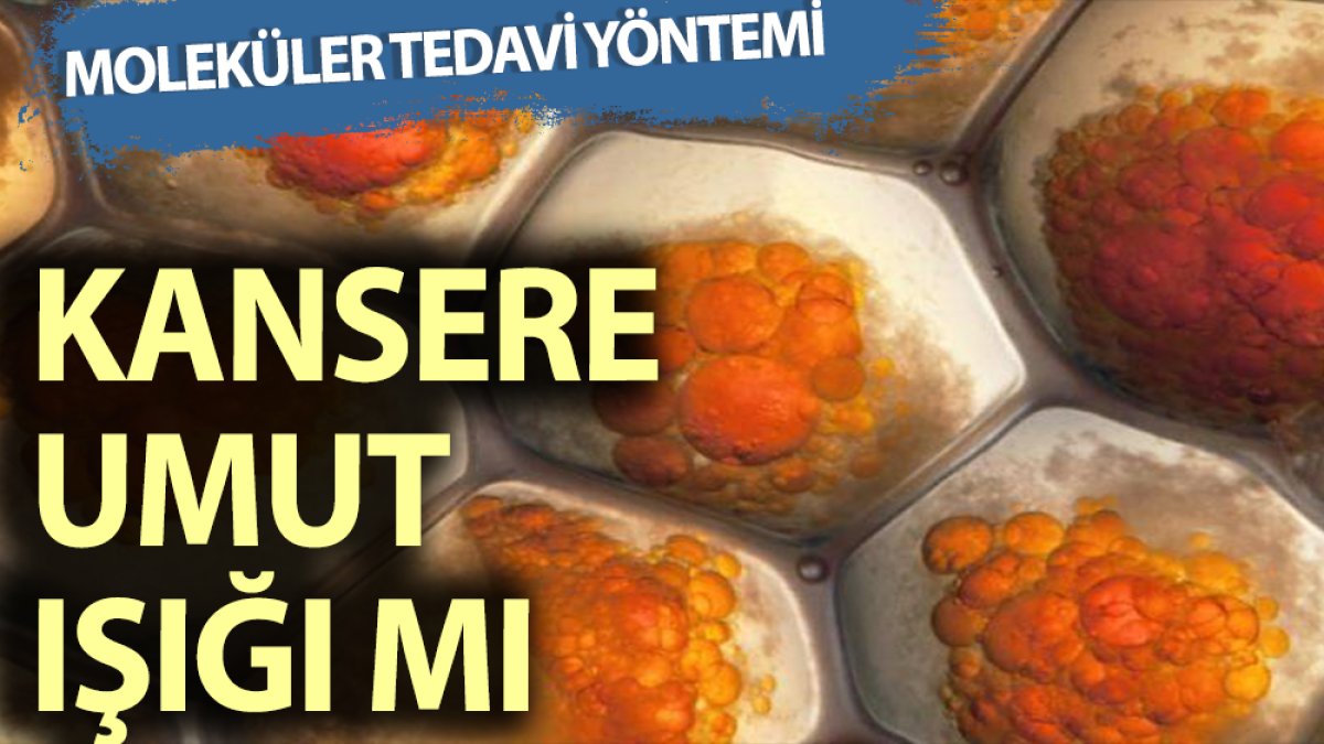 Kanser tedavisinde umut ışığı