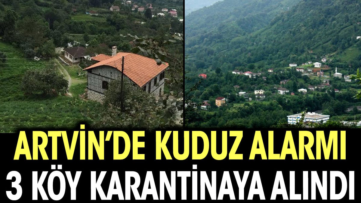 Artvin'de sahibini ısıran köpek kuduz çıktı. 3 köy karantinaya alındı