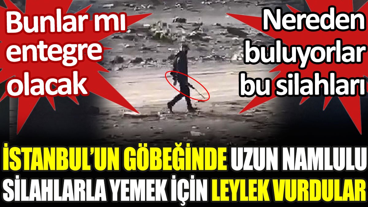Sığınmacılar İstanbul'un göbeğinde uzun namlulu silahlarla leylek vurdular. Nereden buluyorlar bu silahları?