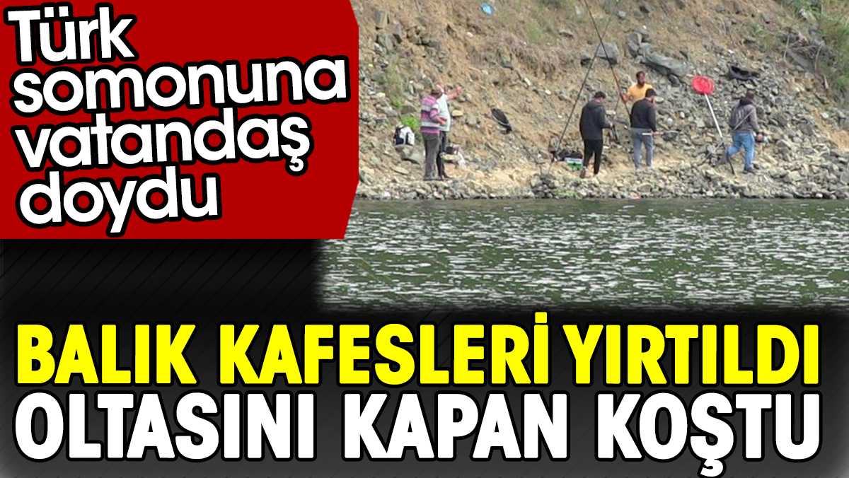 Balık kafesleri yırtıldı oltasını kapan koştu. Türk somonuna vatandaş doydu