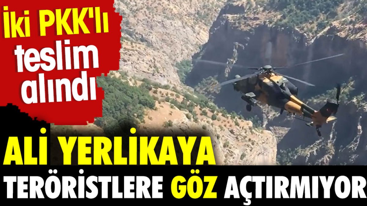 Ali Yerlikaya teröristlere göz açtırmıyor. İki PKK'lı teslim alındı