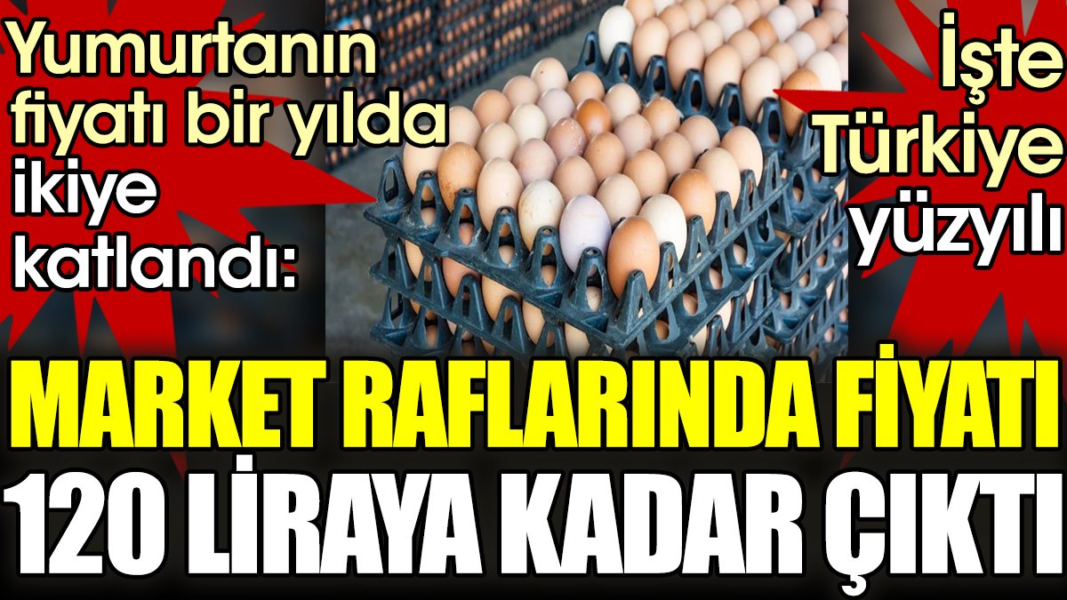 Yumurtanın fiyatı bir yılda ikiye katlandı: Market raflarında fiyatı 120 TL'ye kadar çıktı