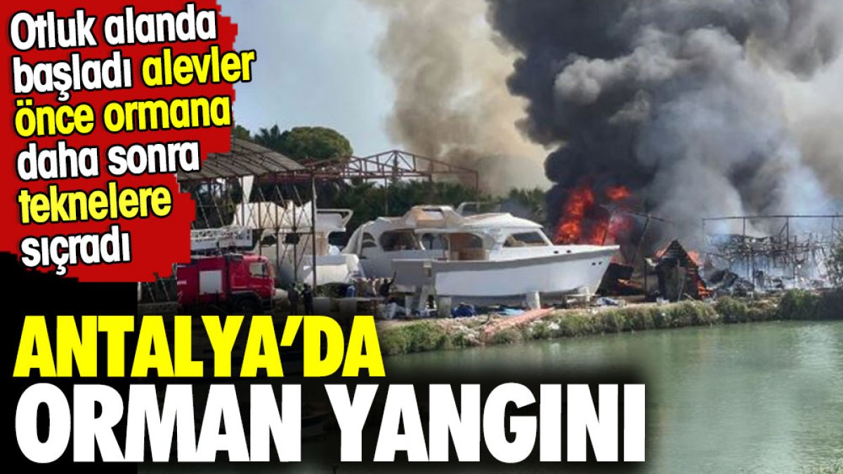 Antalya'da orman yangını. Alevler teknelere sıçradı