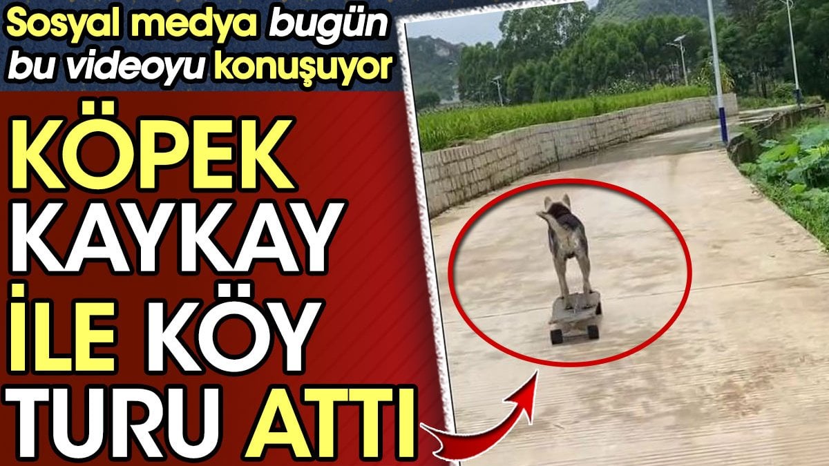 Köpek kaykay ile köy turu attı. Sosyal medya bugün bu videoyu konuşuyor