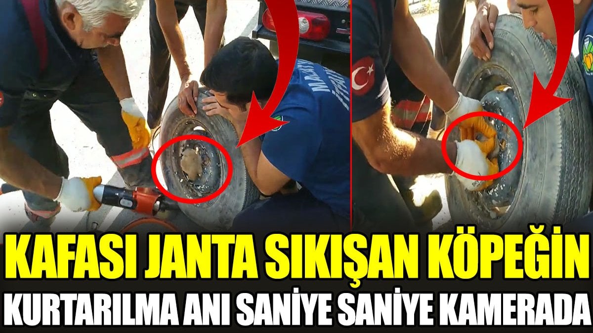 Kafası janta sıkışan köpeğin kurtarılma anı saniye saniye kamerada