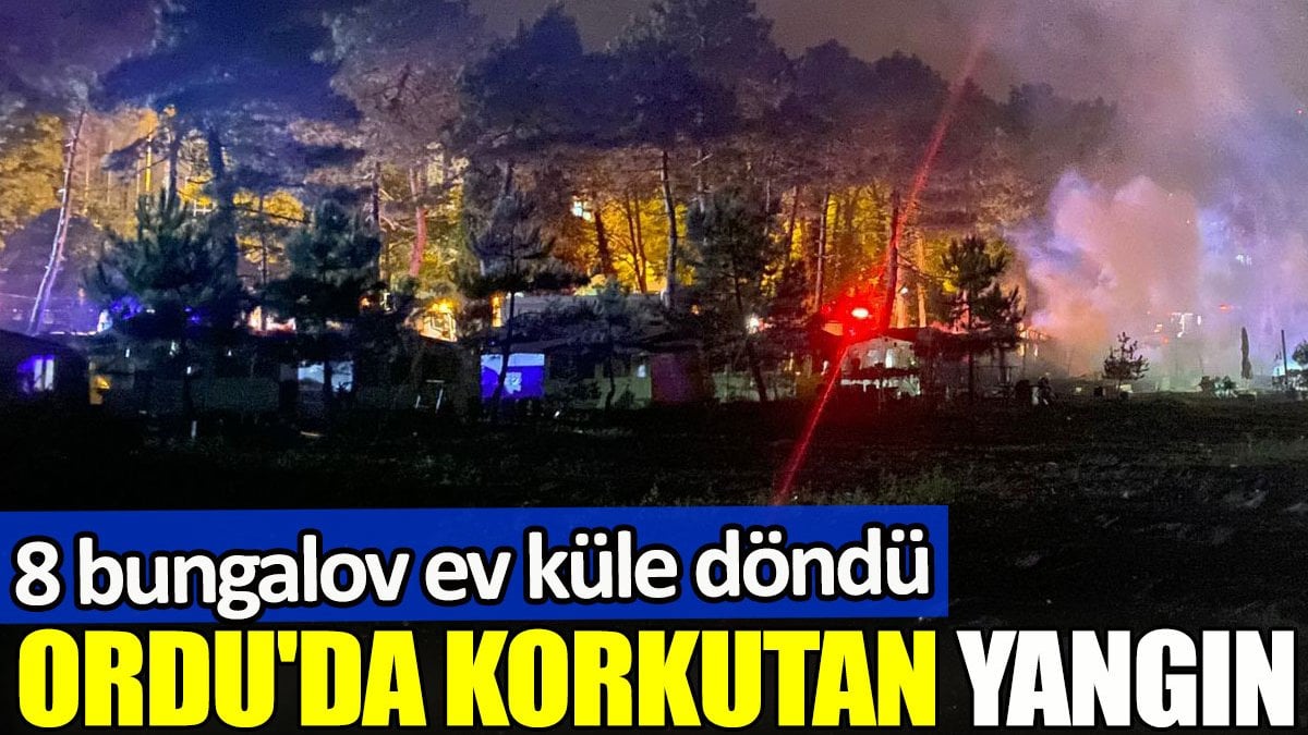 Ordu’da korkutan yangın. 8 bungalov ev küle döndü