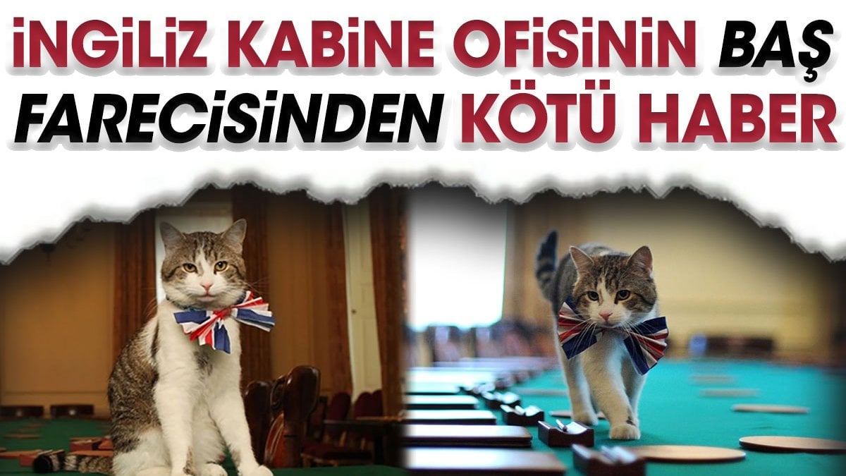 İngiliz kabine ofisinin baş farecisinden kötü haber