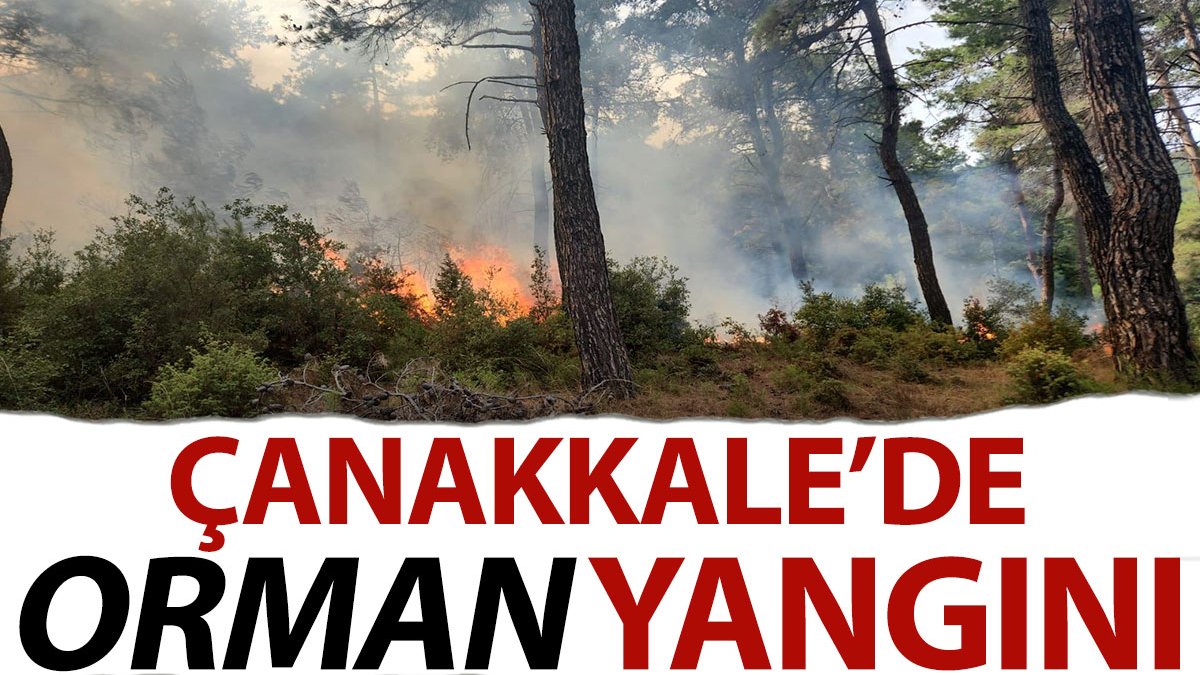 Çanakkale'de orman yangını: Yıldırım isabet etti
