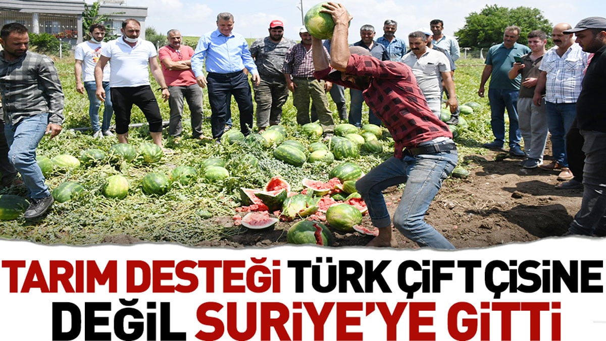 Tarım desteği Türk çiftçisine değil Suriye’ye gitti. AKP yardımı diğer devletlere yaptı