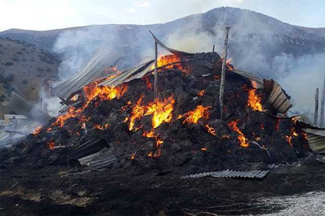 Köyde çıkan yangında yüzlerce balya ot yandı