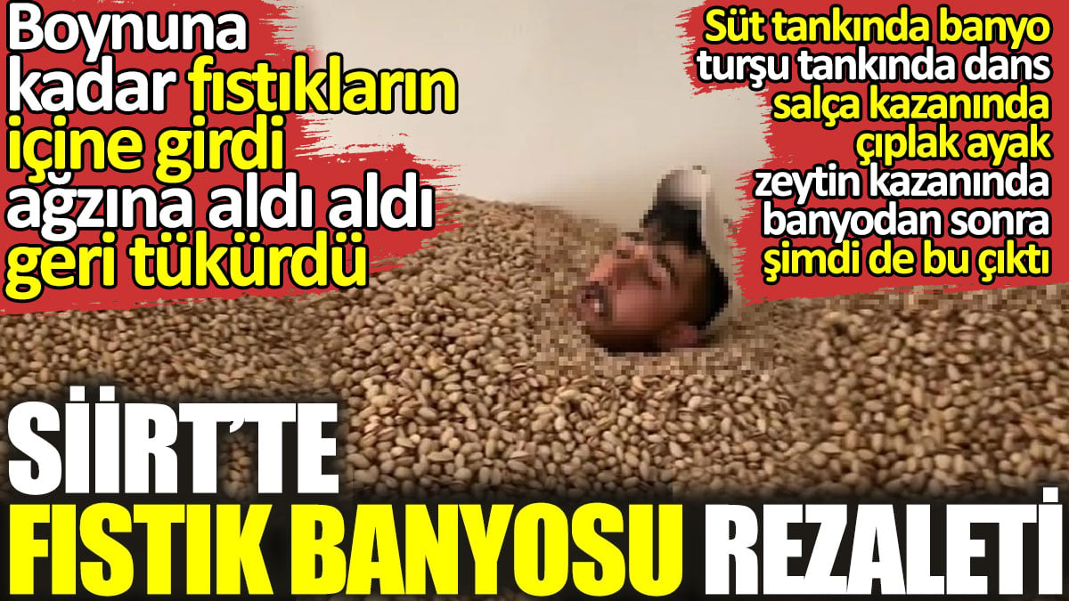 Siirt’te fıstık banyosu rezaleti. Boynuna kadar fıstıkların içine girdi ağzına aldı aldı geri tükürdü