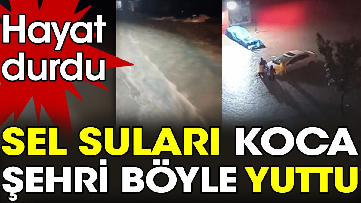 Sel suları koca şehri böyle yuttu. Hayat durdu