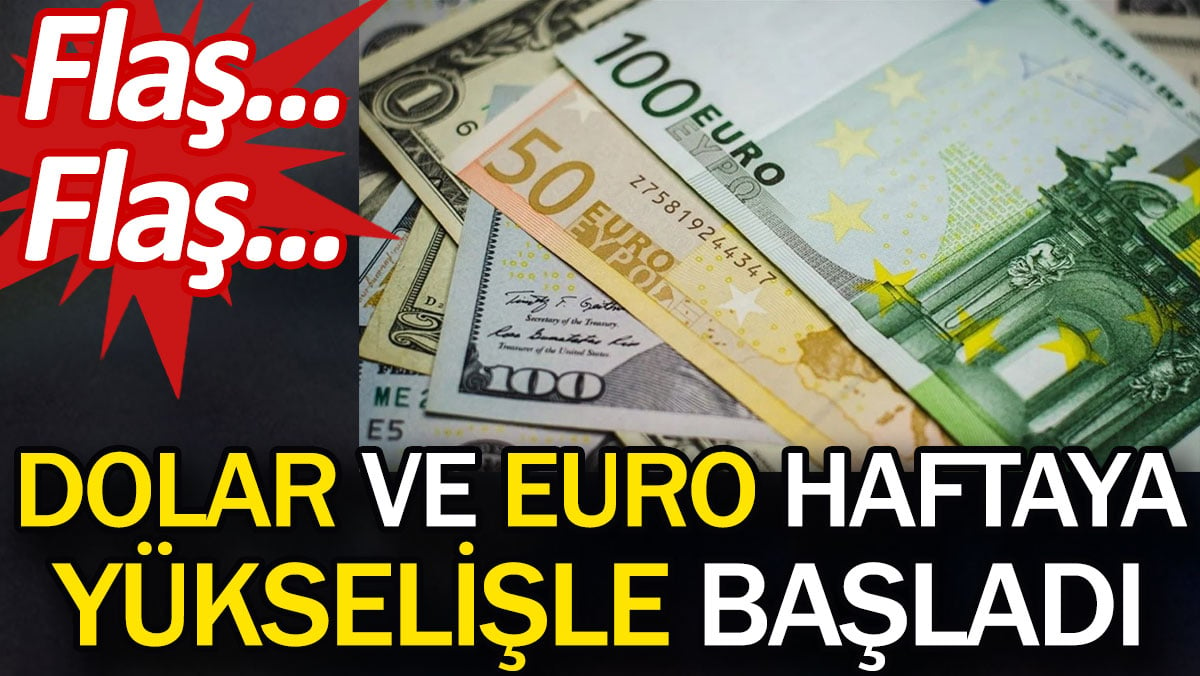 Dolar ve euro haftaya yükselişle başladı