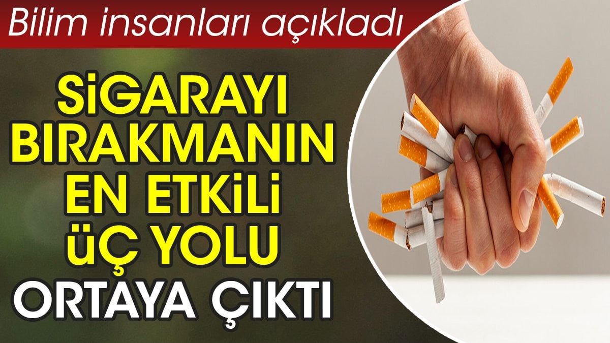 Sigarayı bırakmanın en etkili üç yolu ortaya çıktı. Bilim insanları açıkladı