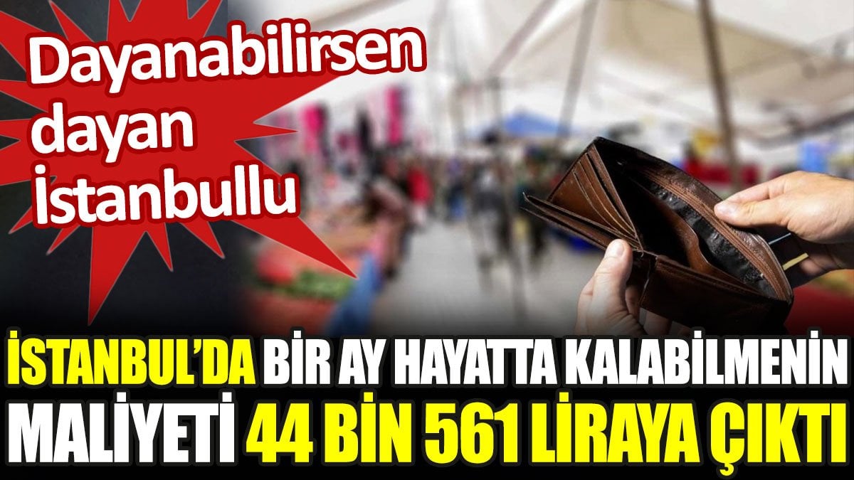 İstanbul’da bir ay hayatta kalabilmenin maliyeti 44 bin 561 liraya çıktı