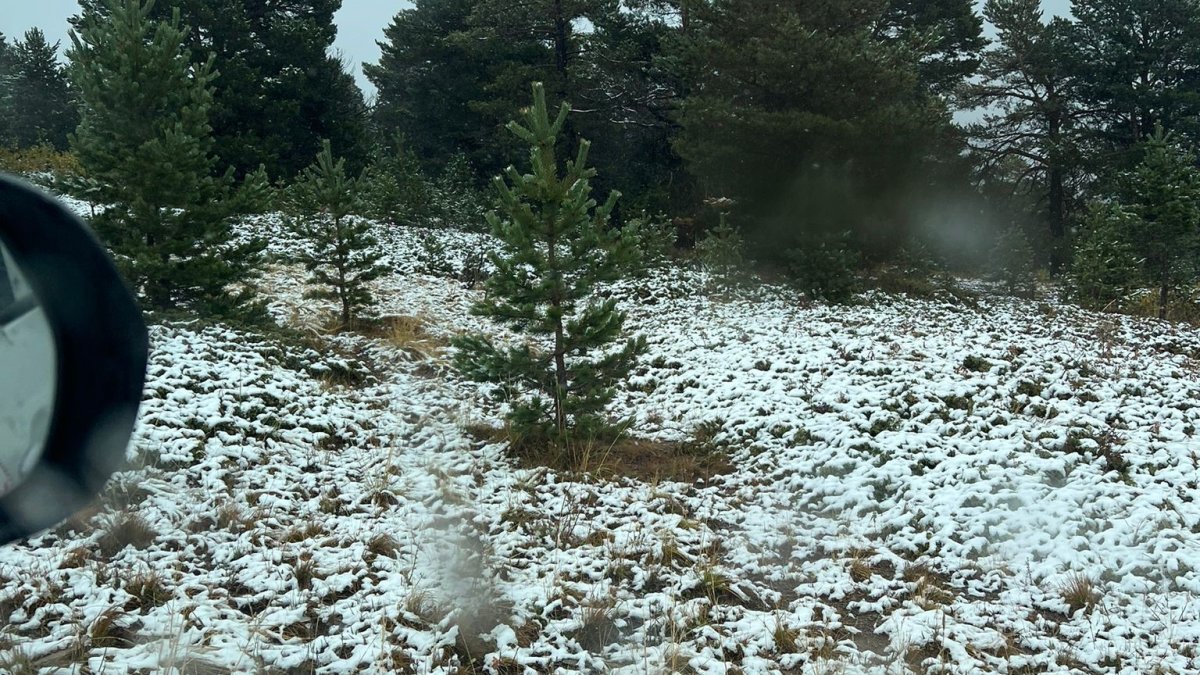 Kars-Sarıçam ormanları beyaza büründü