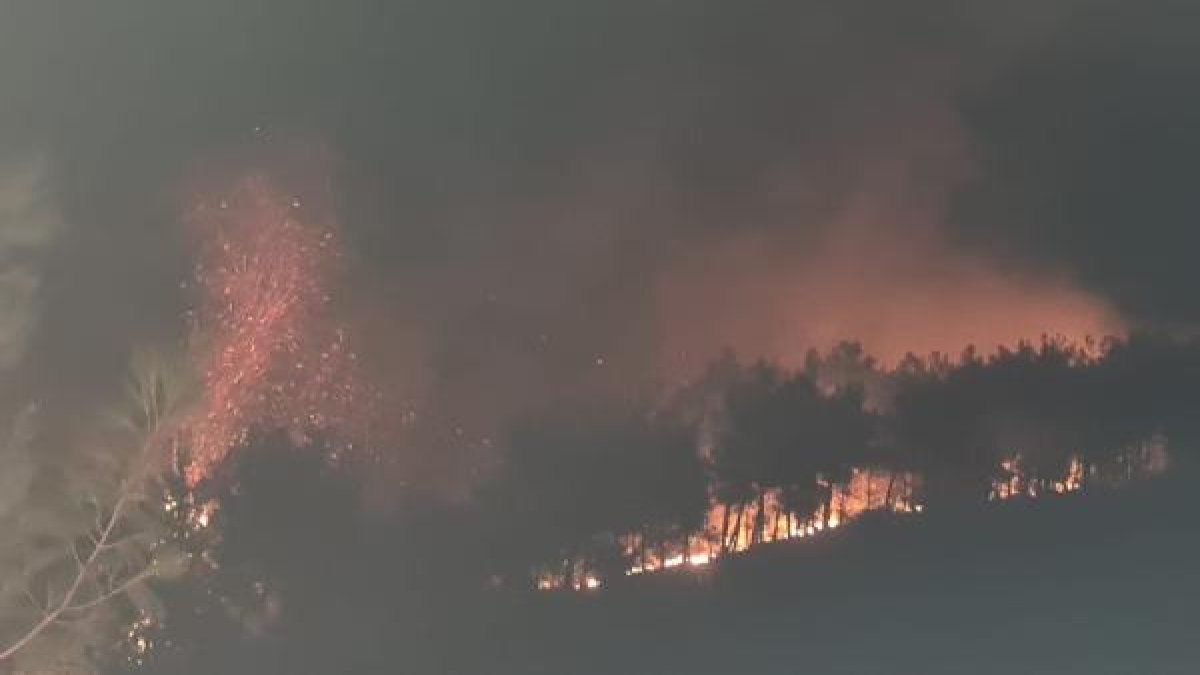 Adana'daki orman  yangını kontrol altına alındı