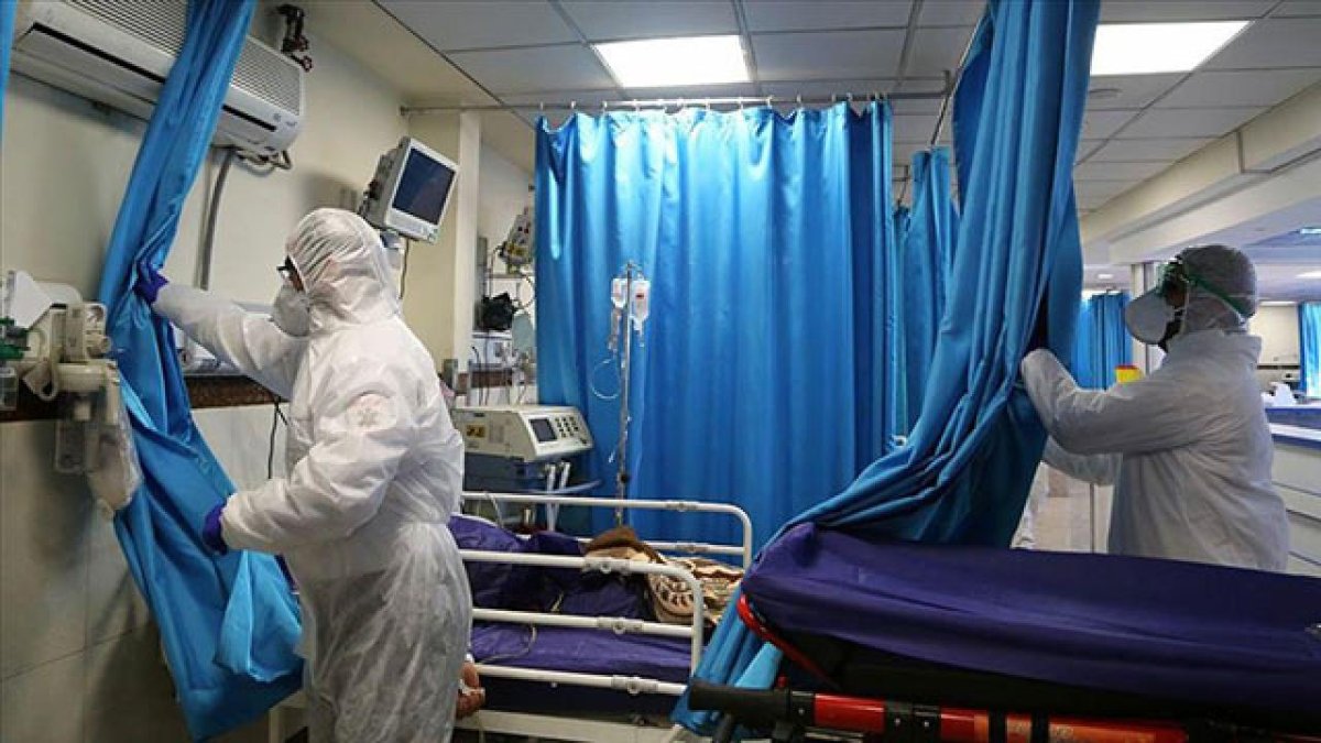 Yunanistan'da Batı Nil Virüsü alarmı: 19 kişi öldü