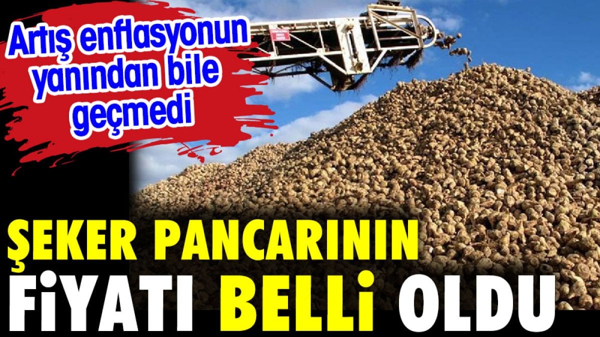 Şeker pancarının fiyatı belli oldu. Üretici enflasyonunun yanından bile geçmedi