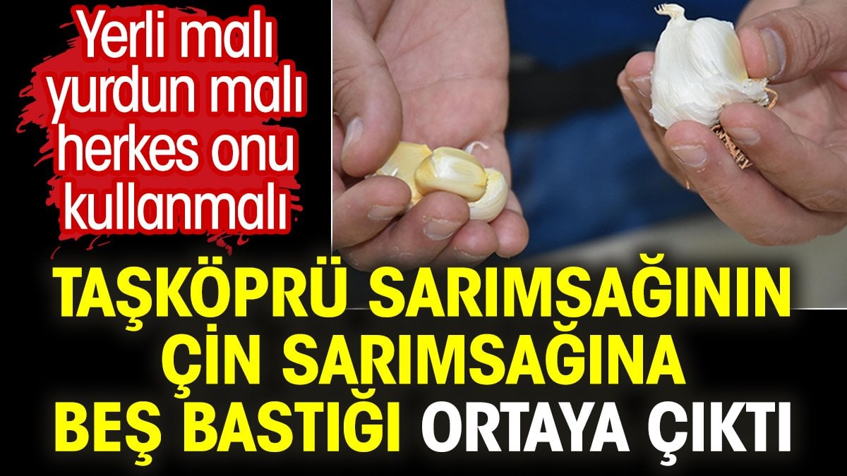 Taşköprü sarımsağının Çin sarımsağına beş bastığı ortaya çıktı. Yerli malı yurdun malı herkes kullanmalı