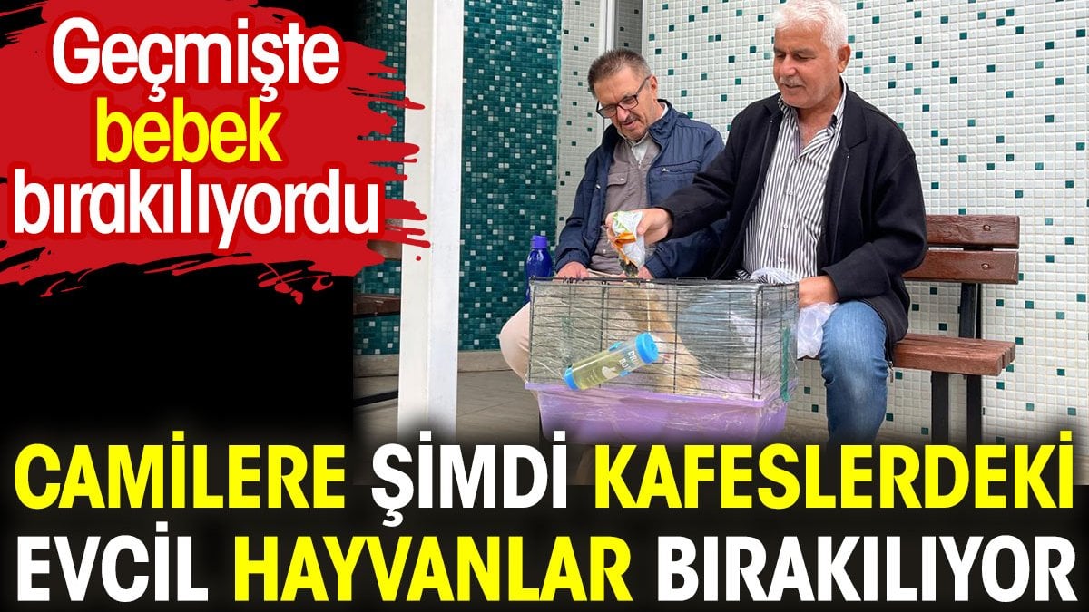 Camilere şimdi kafeslerindeki evcil hayvanlar bırakılıyor. Eskiden bebek bırakılırdı