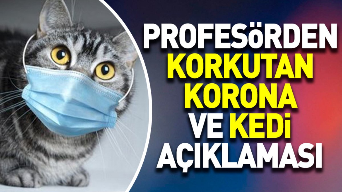 Profesörden korkutan korona ve kedi açıklaması