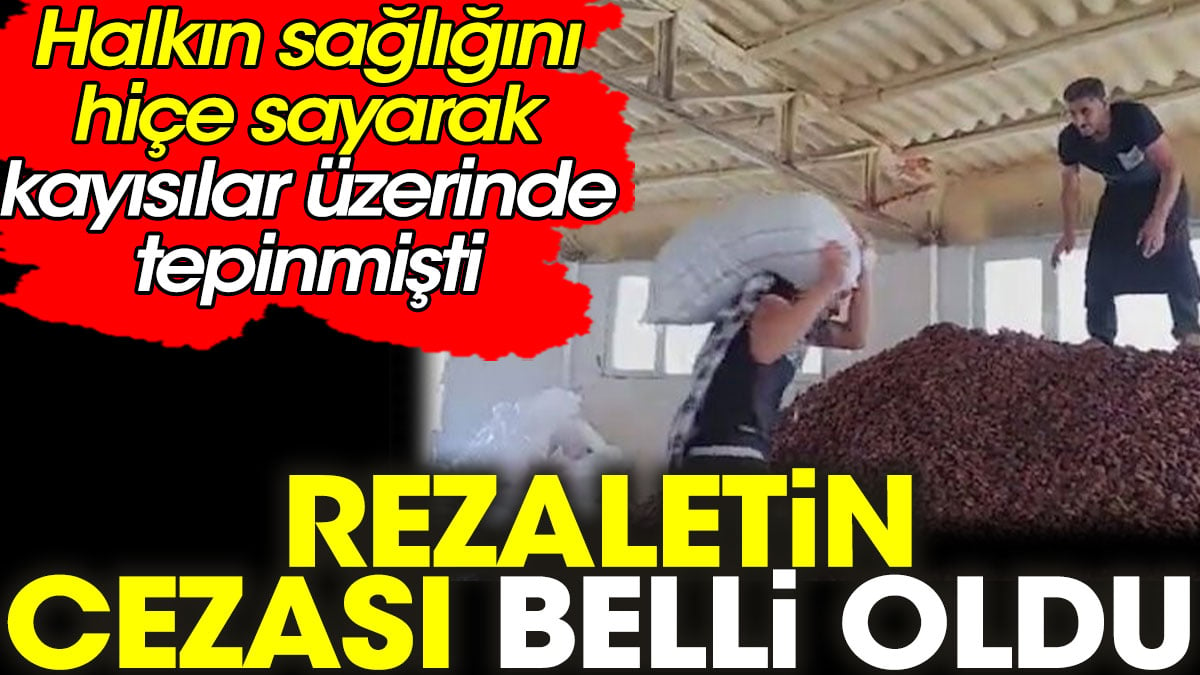 Halkın sağlığını hiçe sayarak kayısılar üzerinde tepinmişti. Rezaletin cezası belli oldu