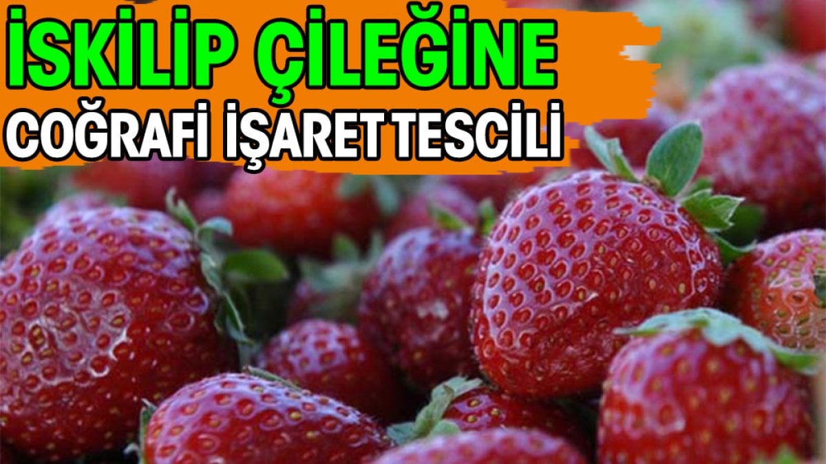 İskilip çileğine coğrafi işaret tescili