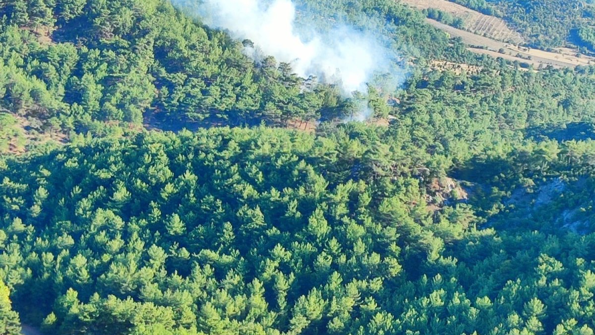 Ayvacık’taki orman yangını kontrol altına alındı