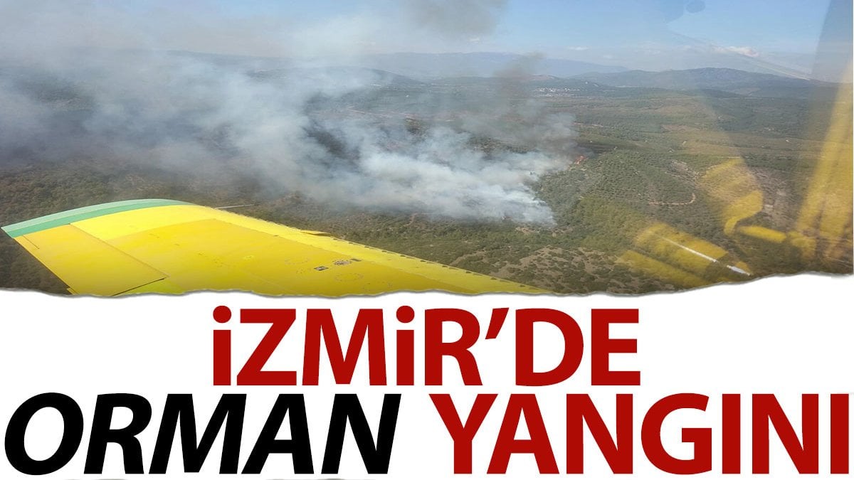 İzmir'de orman yangını