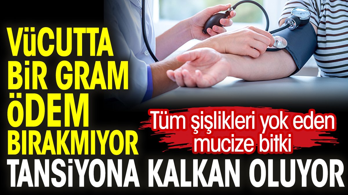 Tüm şişlikleri yok eden mucize bitki. Vücutta bir gram ödem bırakmıyor. Tansiyona karşı da kalkan oluyor