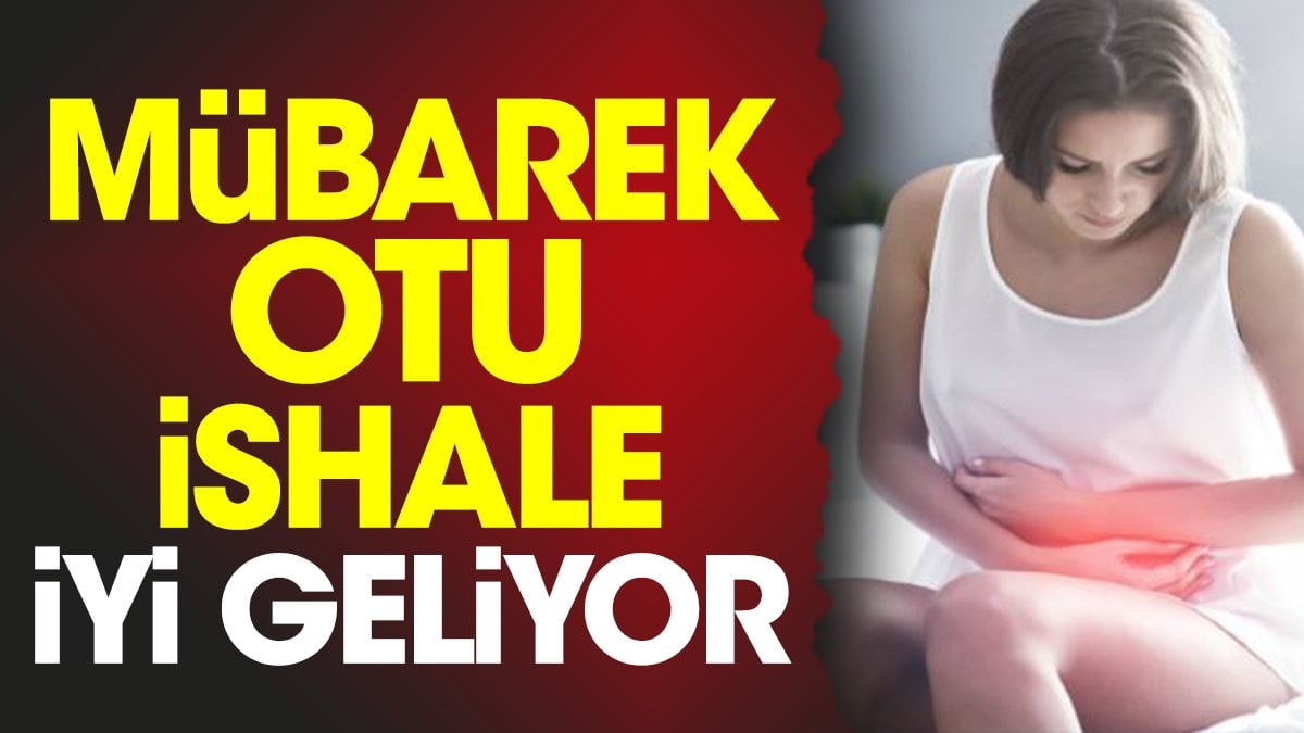 İshale iyi gelen ot