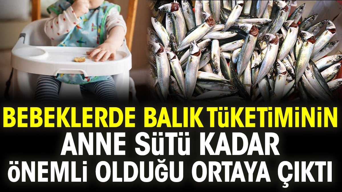 Bebeklerde balık tüketiminin anne sütü kadar önemli olduğu ortaya çıktı