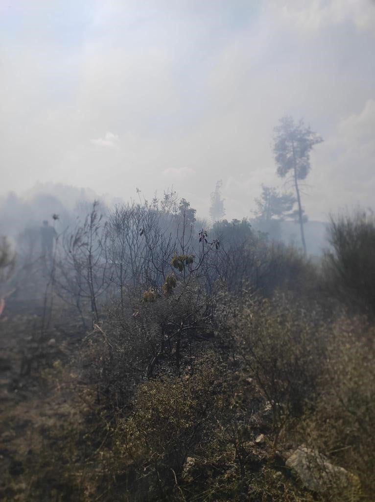 Hatay'daki orman yangını söndürüldü