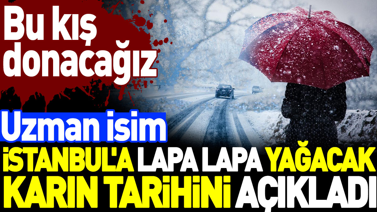 Uzman isim İstanbul'a lapa lapa yağacak karın tarihini açıkladı. Bu kış donacağız