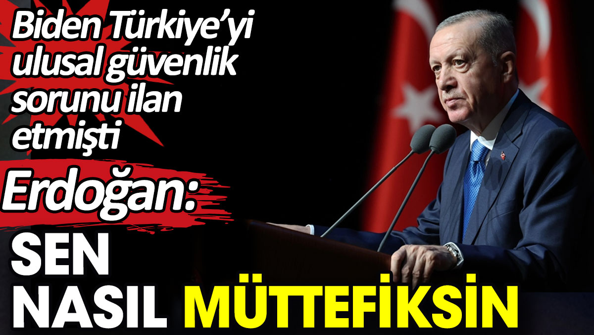 Türkiye’yi ulusal güvenlik sorunu ilan eden ABD’ye Erdoğan’dan yanıt