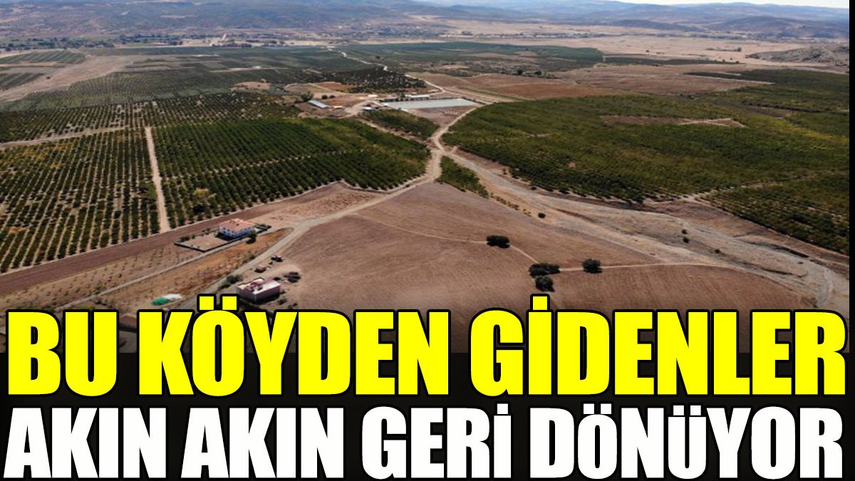 Bu köyden gidenler akın akın geri dönüyor