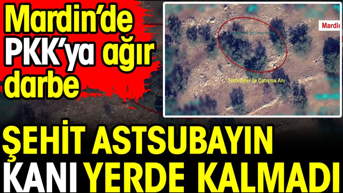 Mardin'de PKK'ya ağır darbe. Astsubay Mehmet Gündüz'ü şehit eden teröristler etkisiz hale getirildi