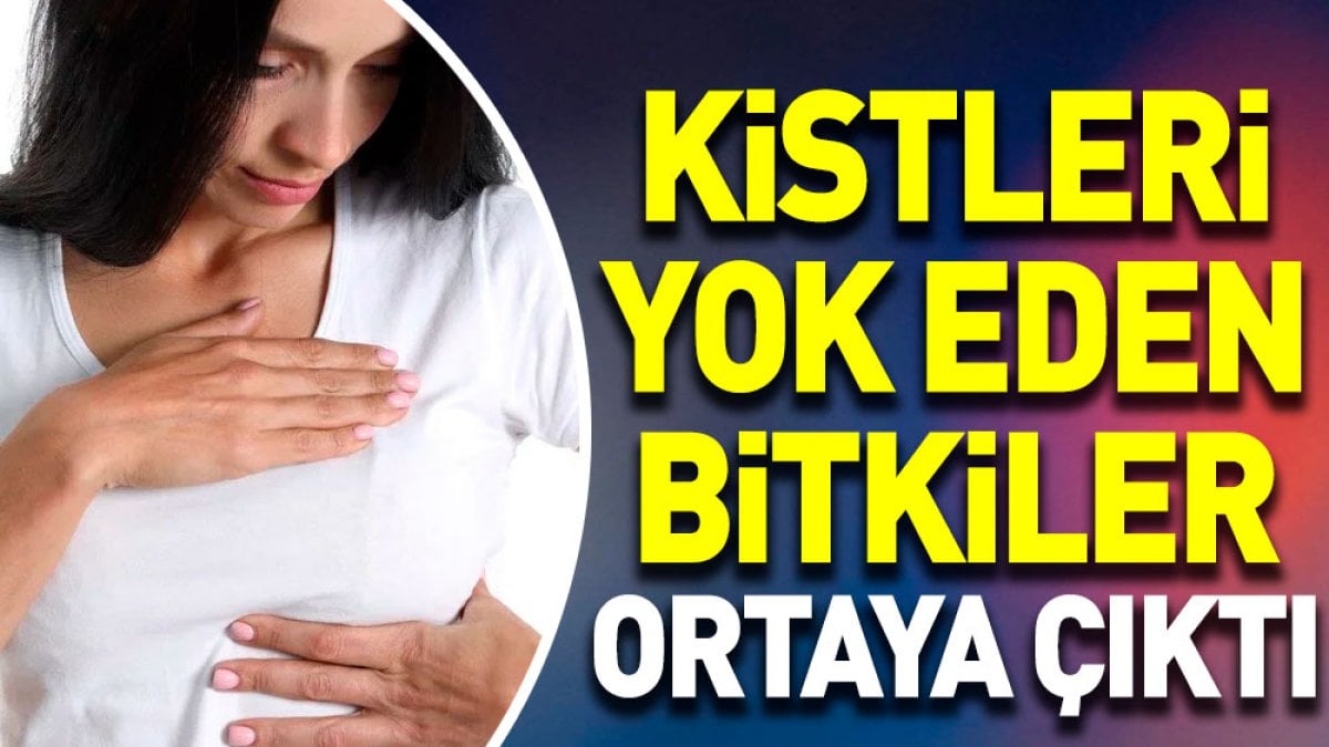 Kistleri yok eden bitkiler ortaya çıktı