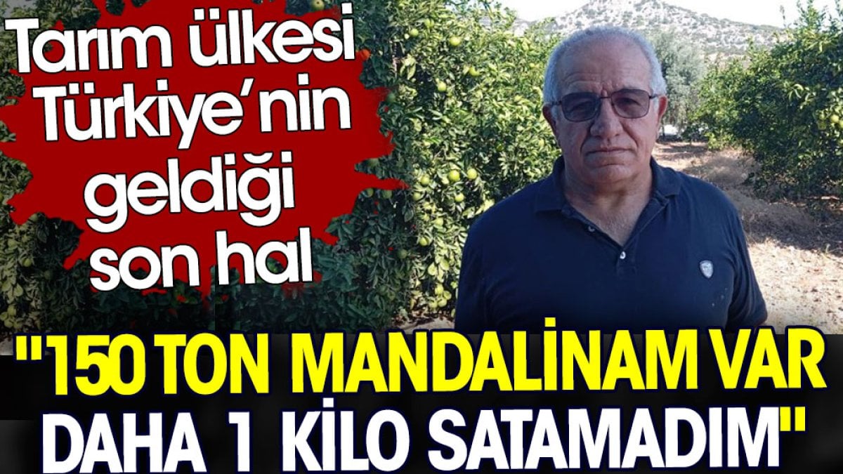 Tarım ülkesi Türkiye’nin geldiği son hal: 150 ton mandalinam var daha 1 kilo satmadım